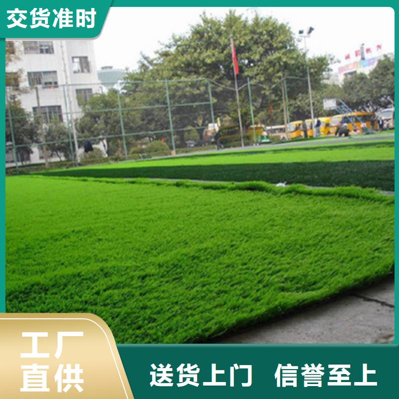 人造草坪仿真草皮商家直供