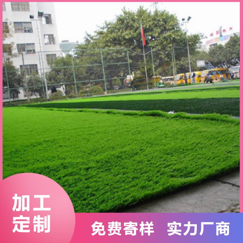 圍擋草坪銷售