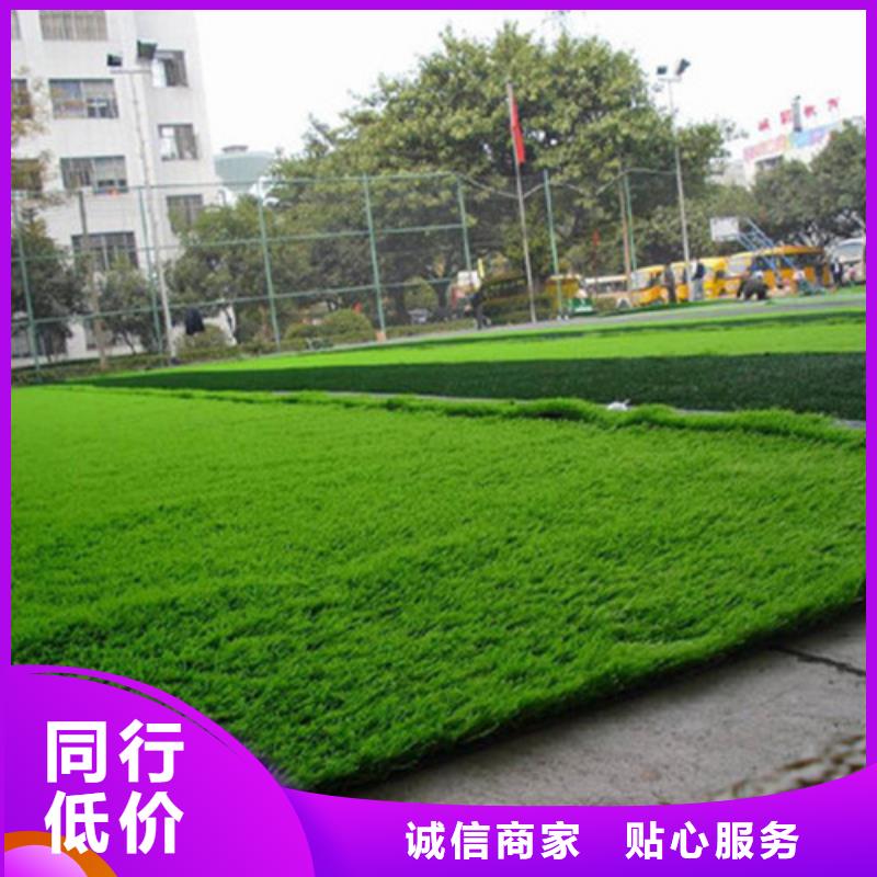 健身步道视频-健身步道|河南省洛阳市|新安|西工|三门峡|周口|驻马店|安阳
