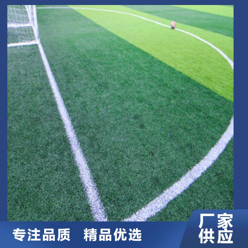 供應足球場人造草坪_誠信企業