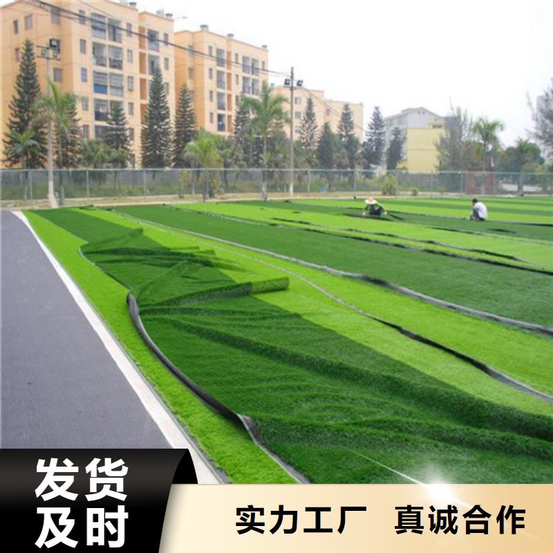 三山區足球場人造草坪承接