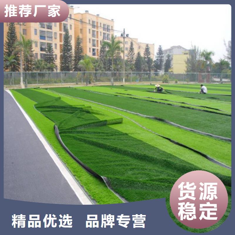 人造草坪 戶外游樂場(chǎng)跑道敢與同行比服務(wù)
