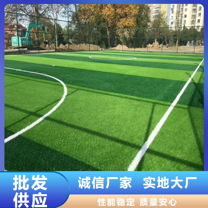 金鄉縣球場人造草坪