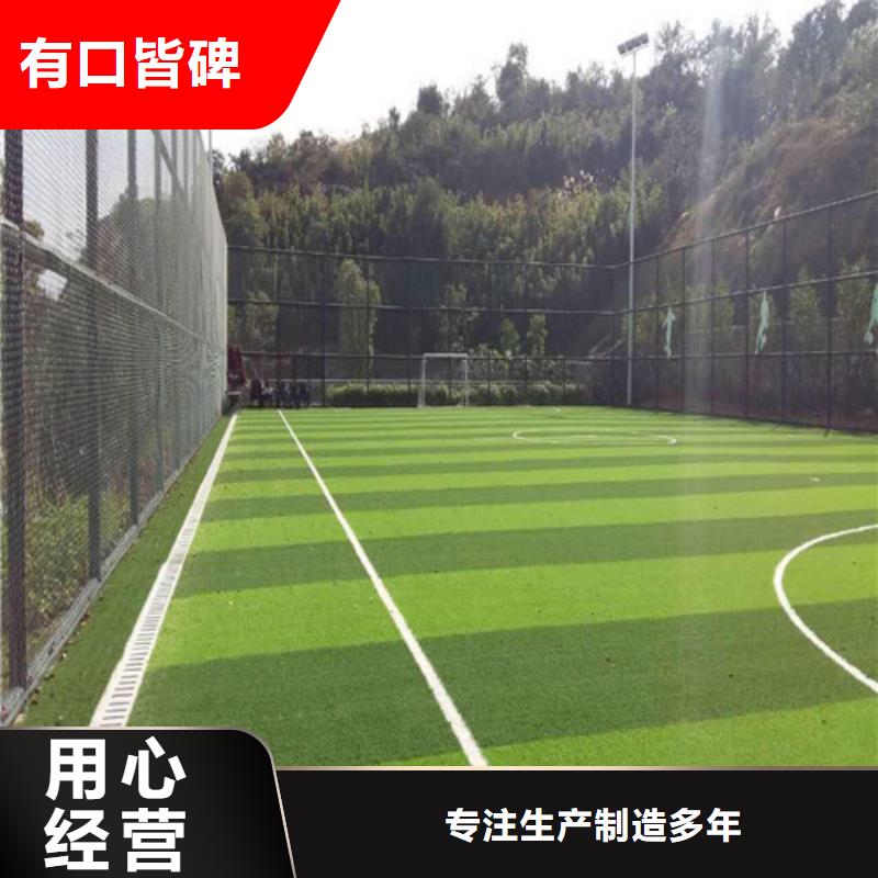優選：足球場人造草坪公司
