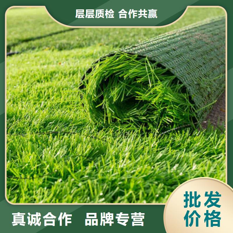 編織人造草坪現貨直銷廠家