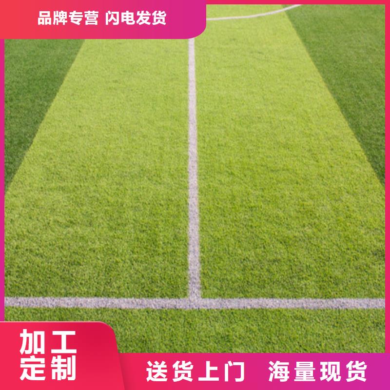 人造草坪,塑胶球场制造厂家