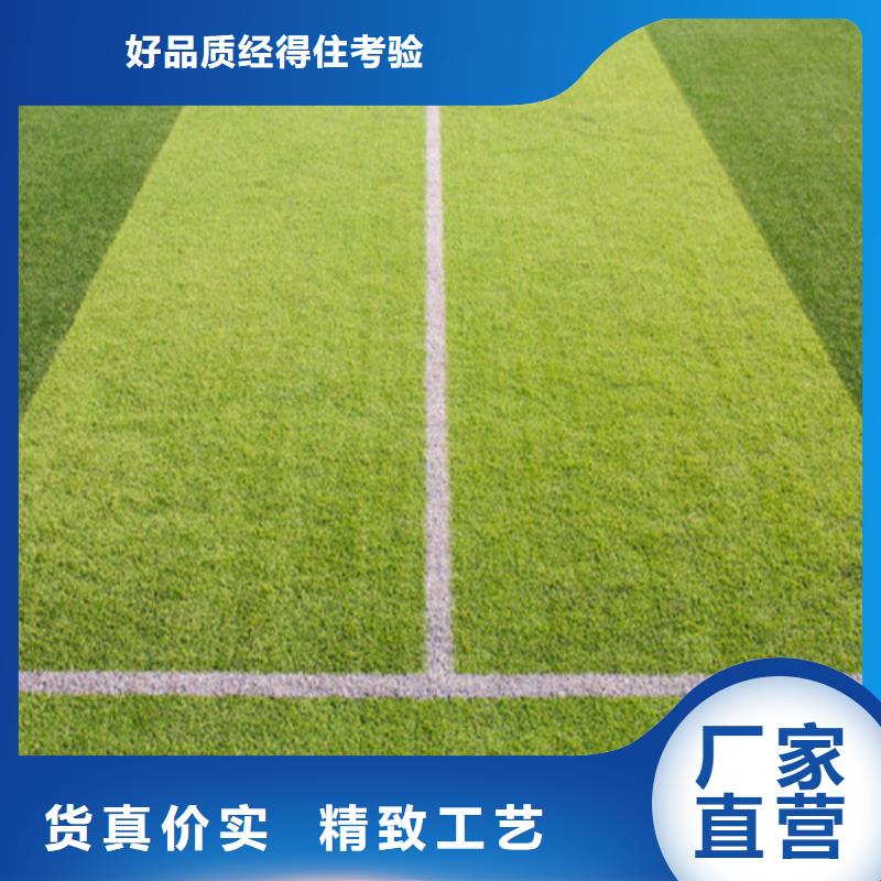 沂南幼兒園仿真草坪價格行情