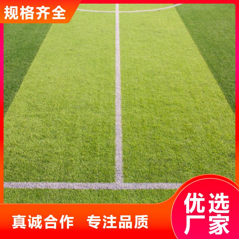 采購球場人造草坪-實體廠家可定制