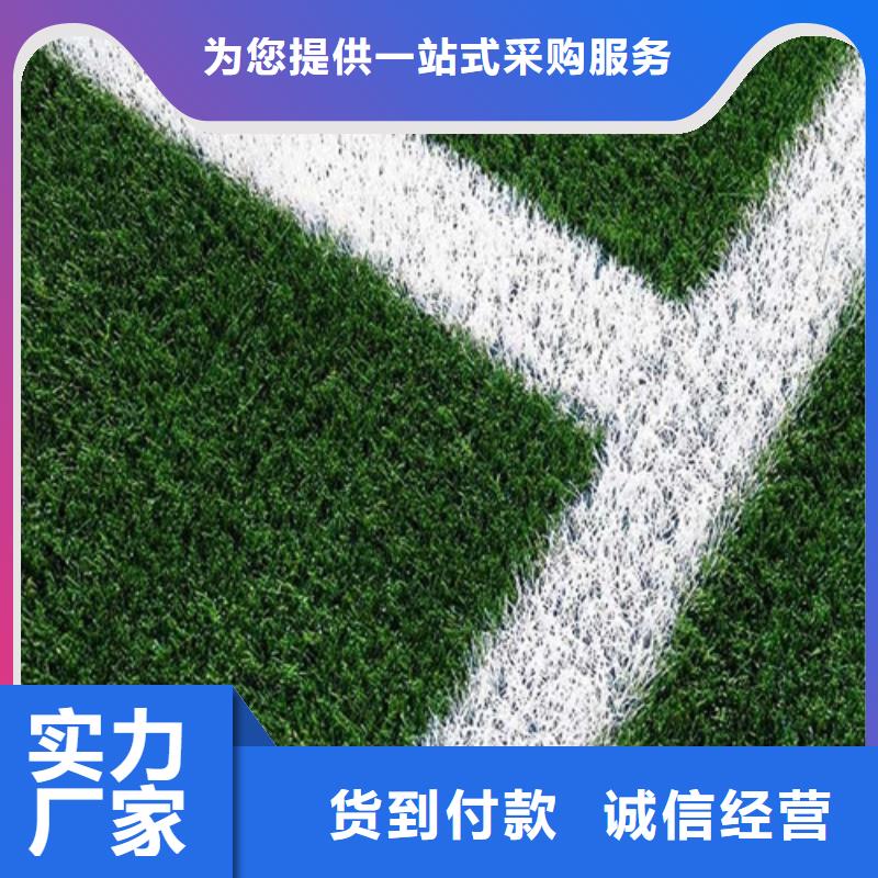 人造草坪 【硅PU球場】價格低
