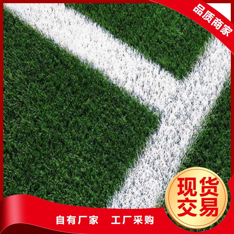 人造草坪专业生产设备