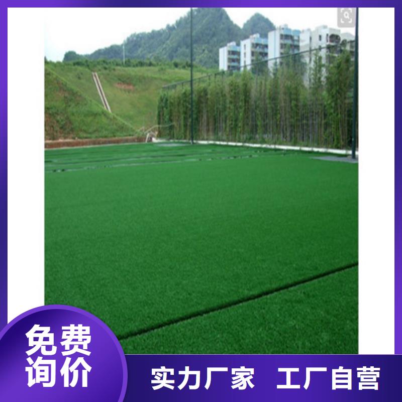 人造草坪塑胶跑道施工专业的生产厂家