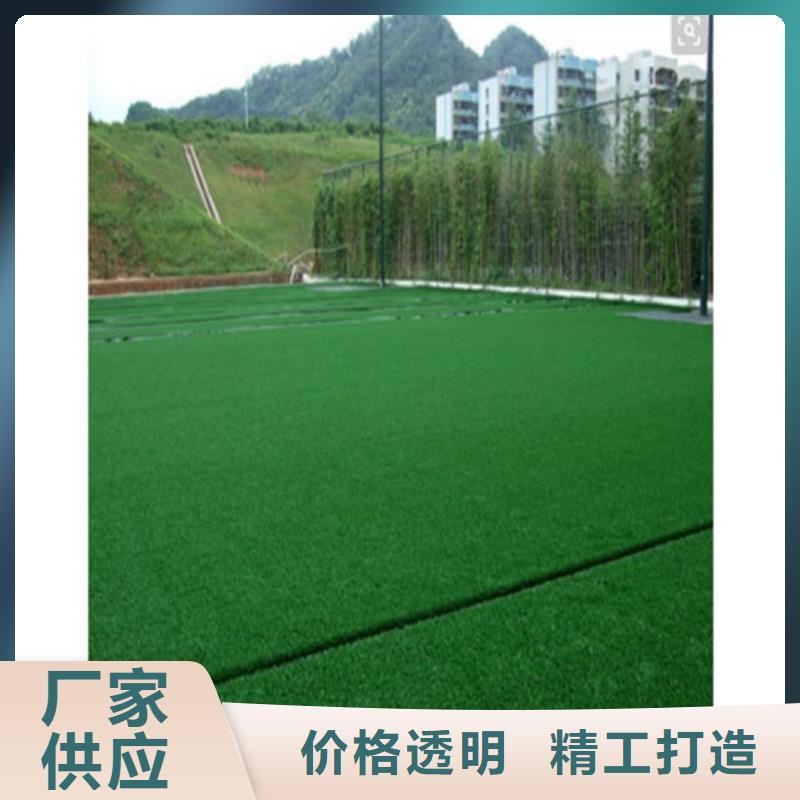 人造草坪塑胶跑道施工品质可靠