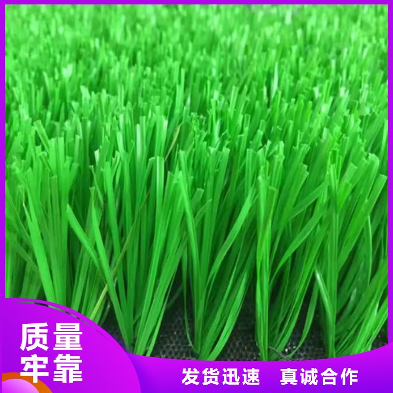 人造草坪塑胶跑道让客户买的放心