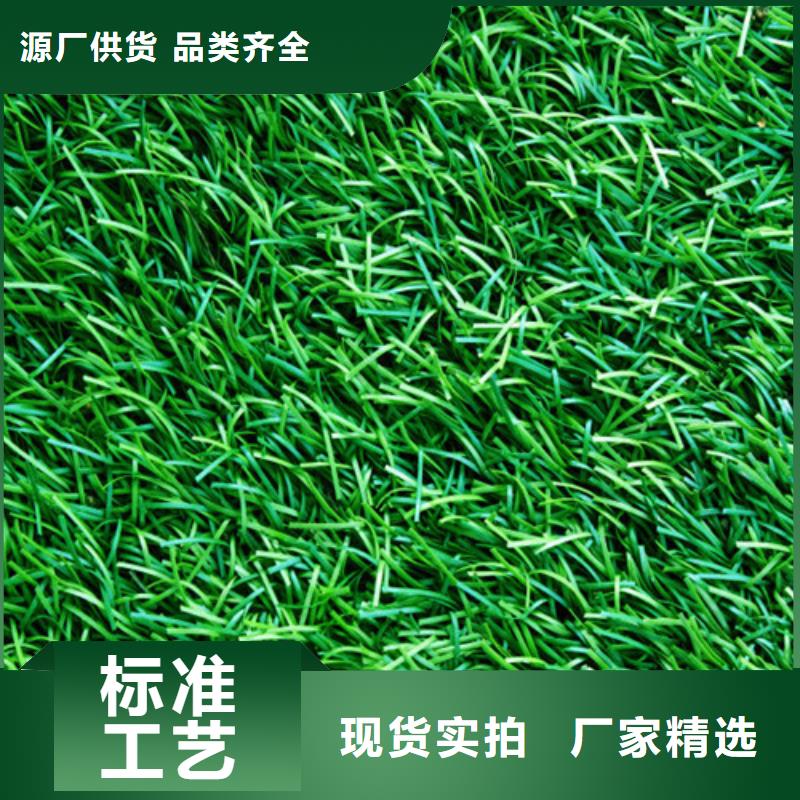 人造草坪 幼儿园地坪应用范围广泛
