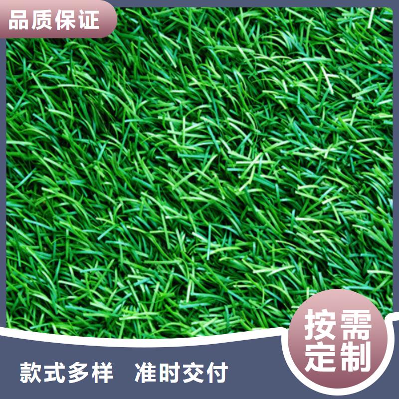  人造草坪安裝簡單