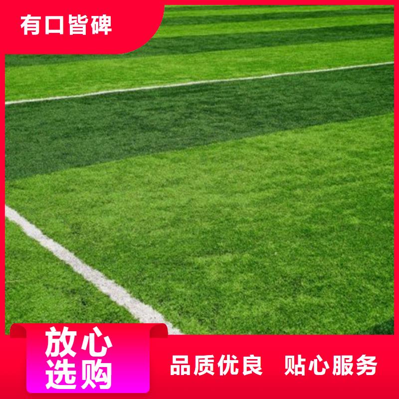 人造草坪_硅PU羽毛球場一站式采購方便省心