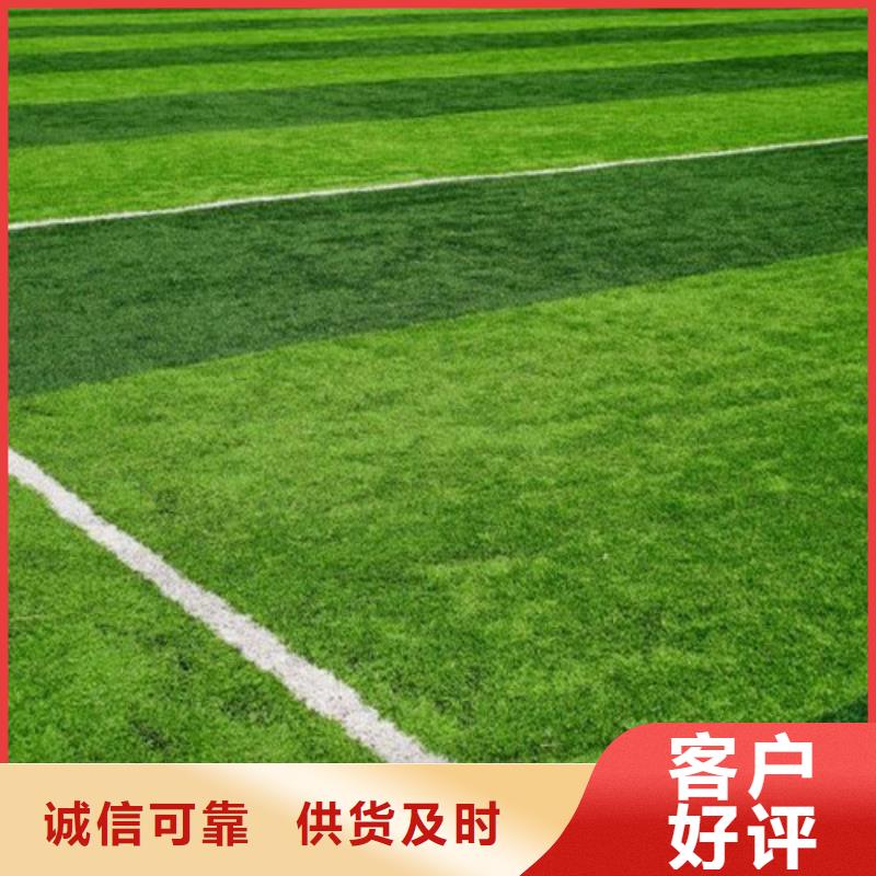 人造草坪_幼儿园地坪选择我们选择放心