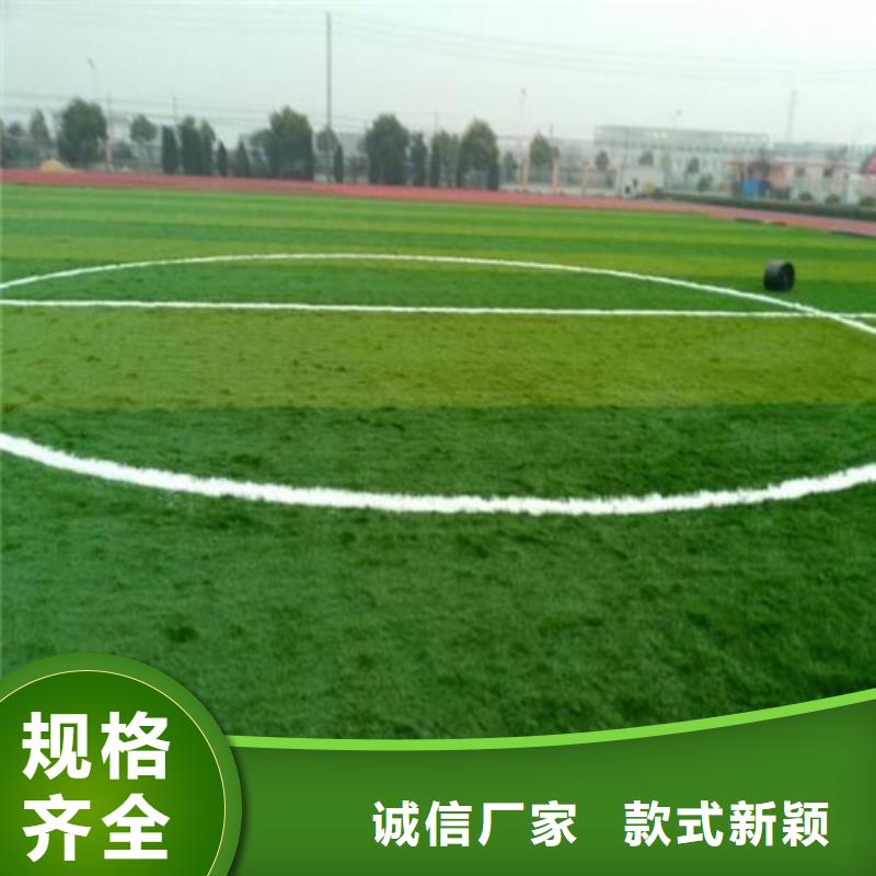 祁陽注塑人造草坪值得信賴
