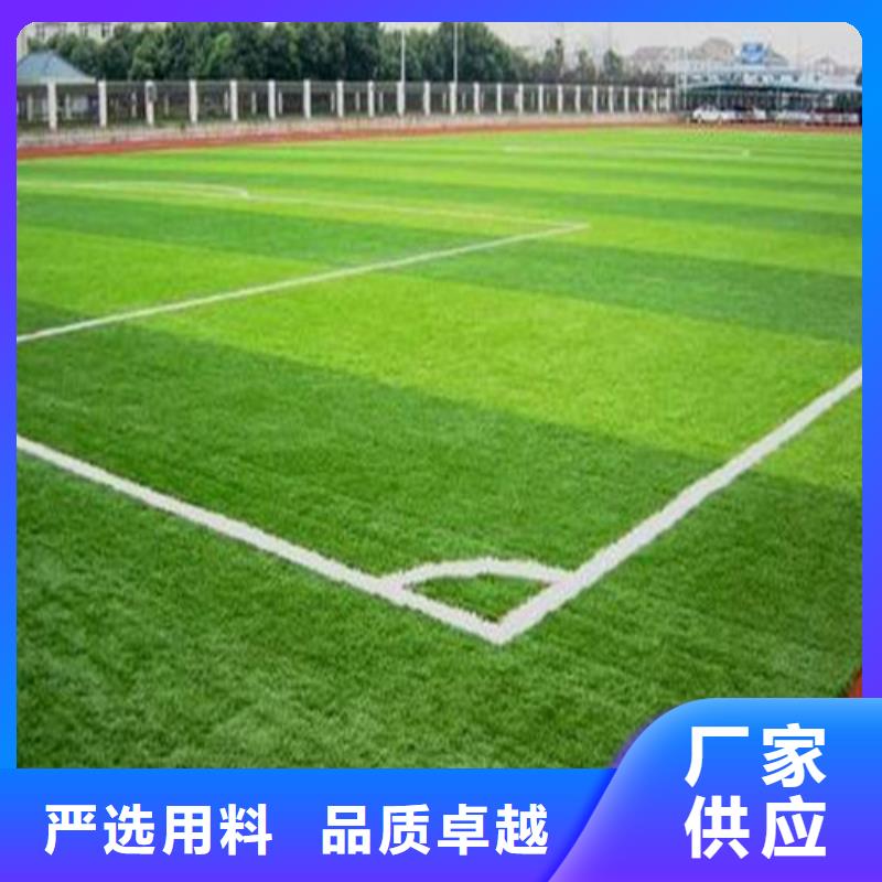 人造草坪_高密度人造草坪精选厂家好货