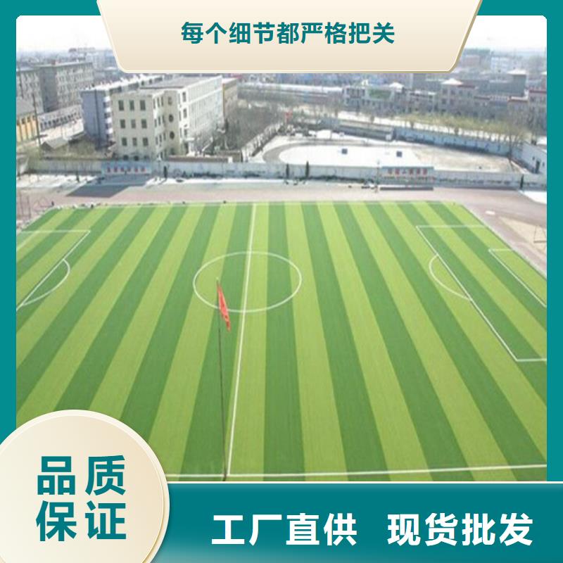 【人造草坪】_高密度人造草坪有实力有经验