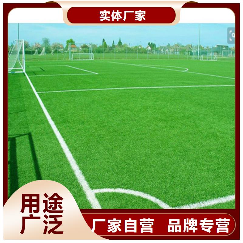 人造草坪-epdm塑膠顆粒出廠價
