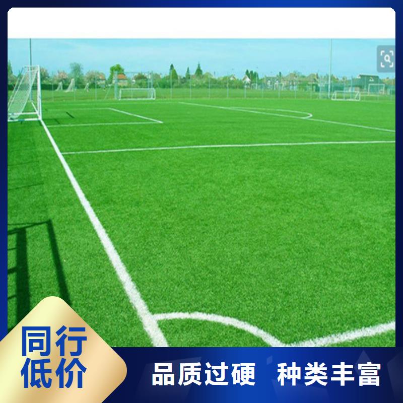臨澧足球場人造草坪公司