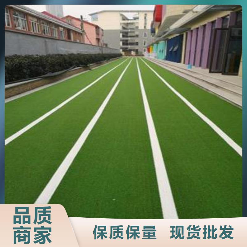 【人造草坪】硅PU球场精心选材