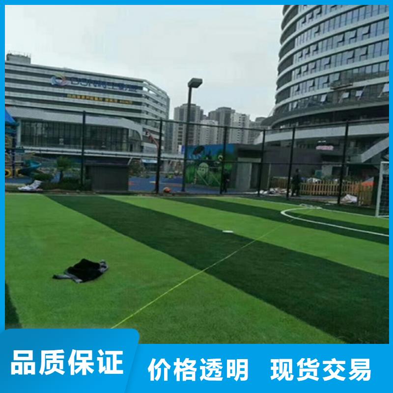 人造草坪-復(fù)合型塑膠EPDMN年大品牌