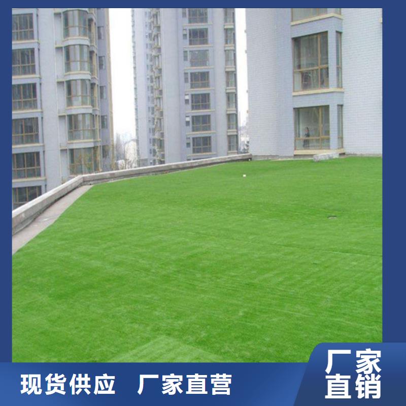 金鄉縣球場人造草坪