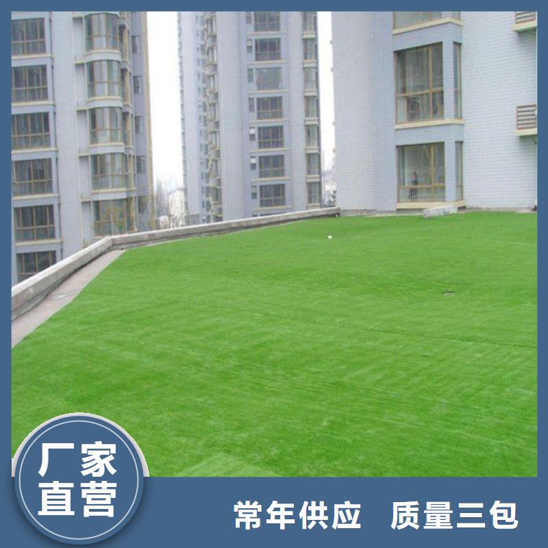 濟(jì)陽縣仿真人工草坪