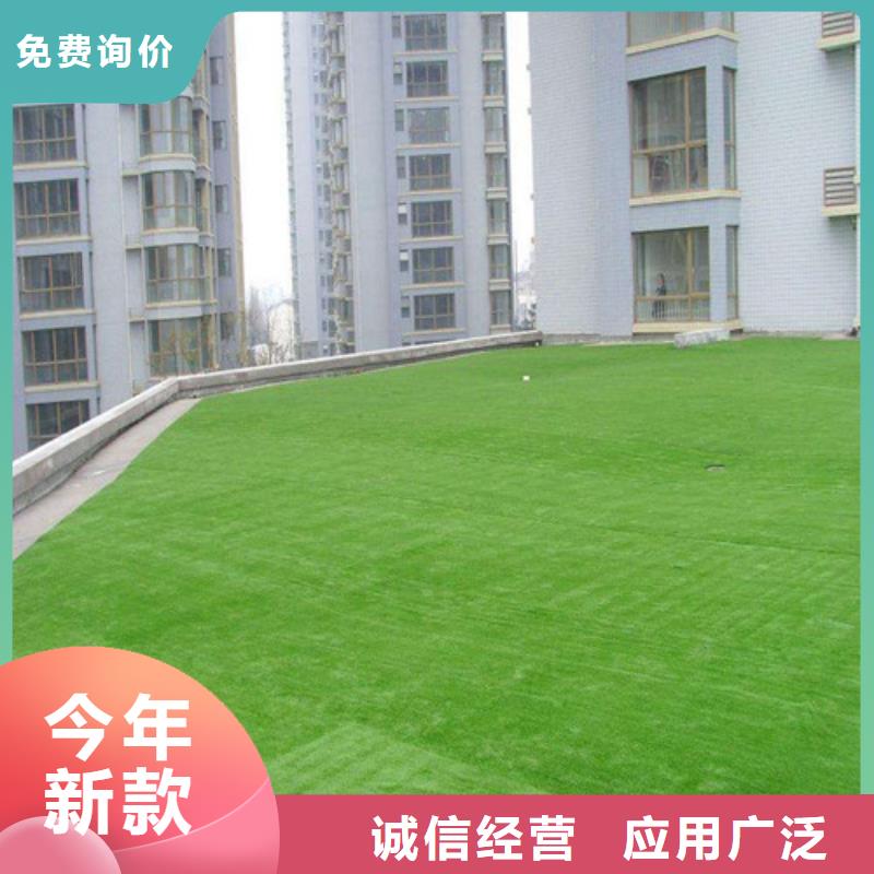 沂南縣足球場人造草坪