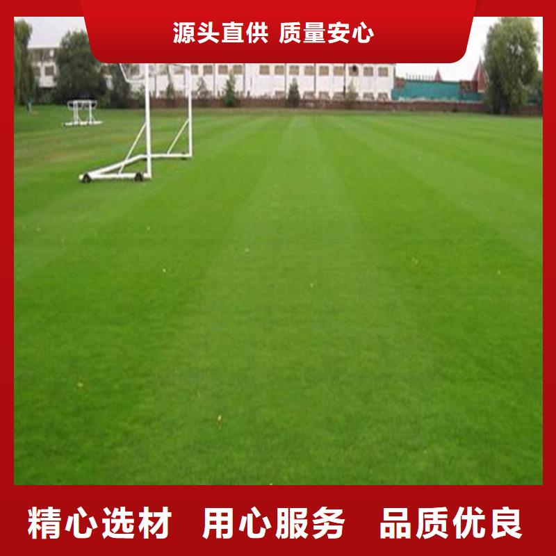 人造草坪塑胶跑道施工专业的生产厂家