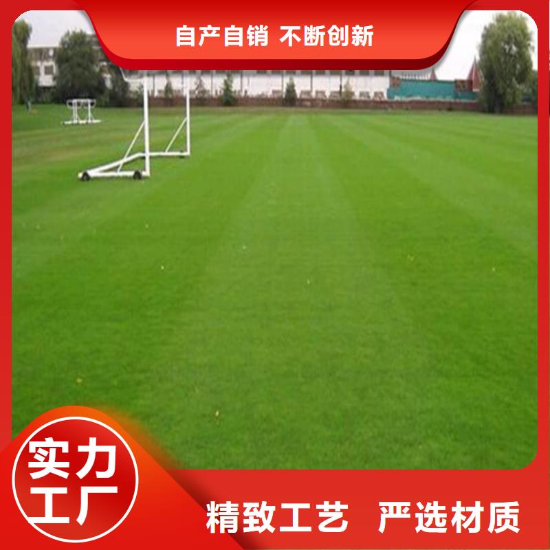 球場人造草坪源頭好貨