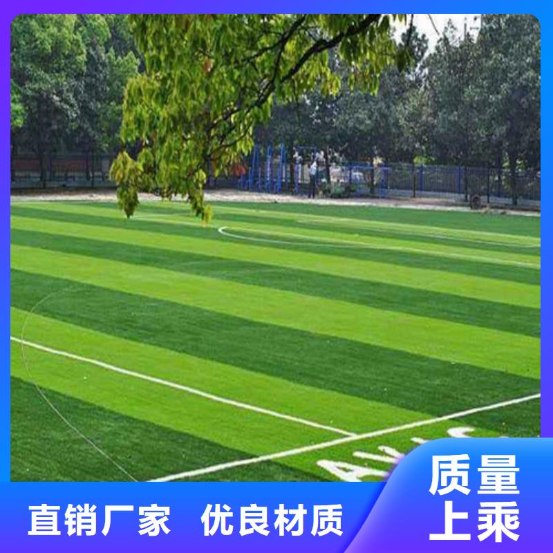 圍擋草坪產品介紹