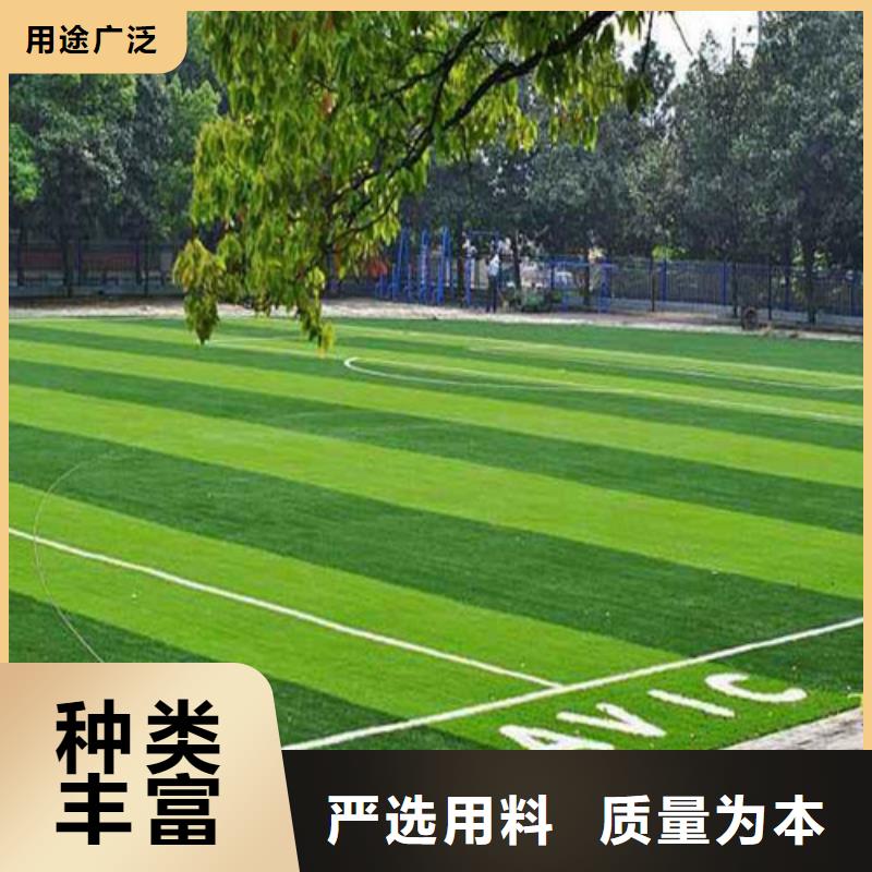 球場人造草坪規格全可滿足不同需求