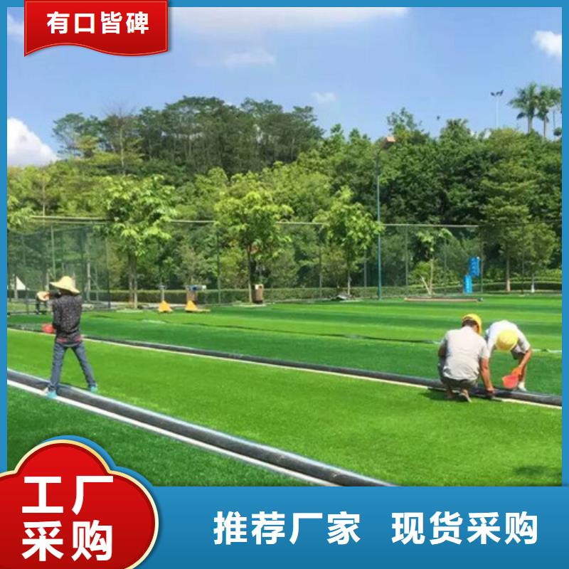 人造草坪仿真草皮商家直供