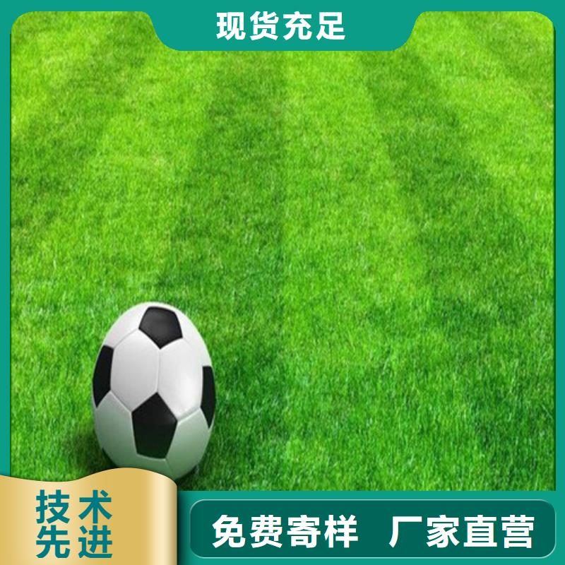 圍擋草坪銷售