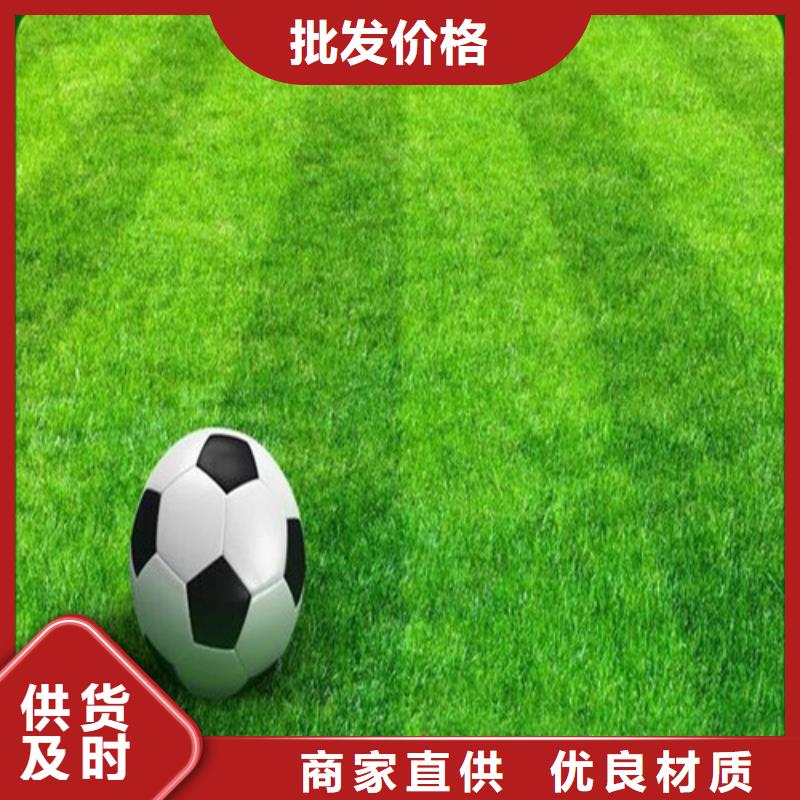 人造草坪  学校体育场多家仓库发货