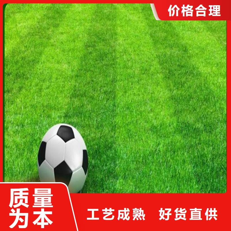 人造草坪-塑胶跑道源头厂家