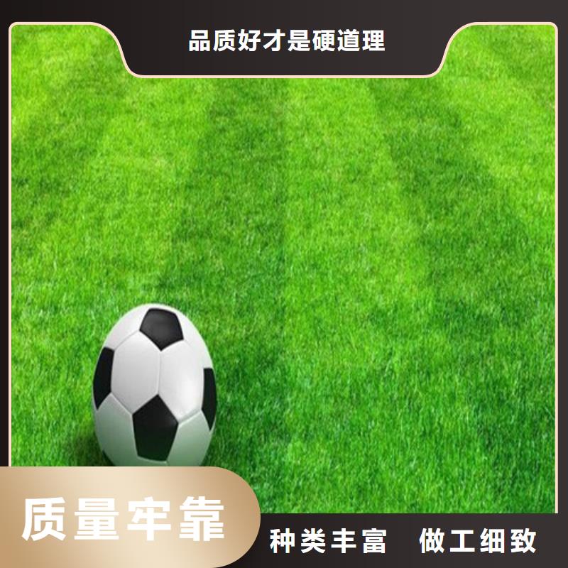 人造草坪,硅PU球场支持货到付清