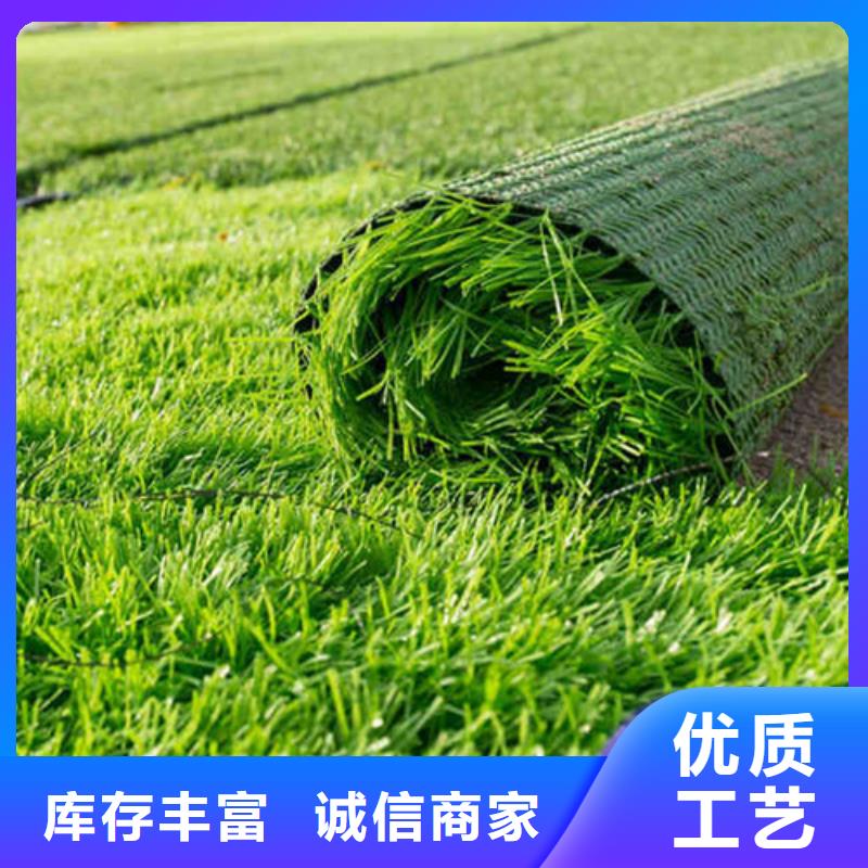 編織人造草坪現貨直銷廠家