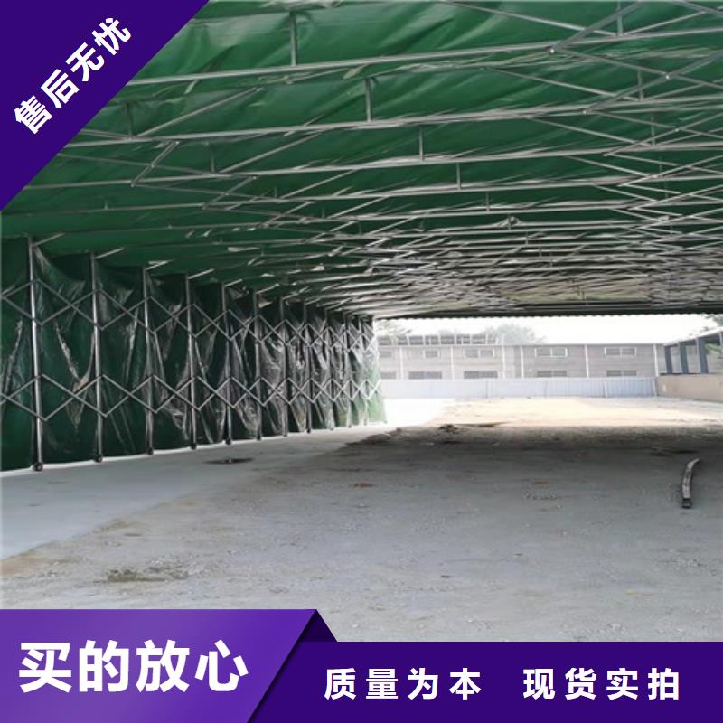 雨蓬N年专注