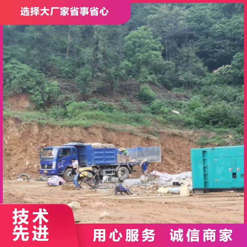 遂溪租賃卡特發電車