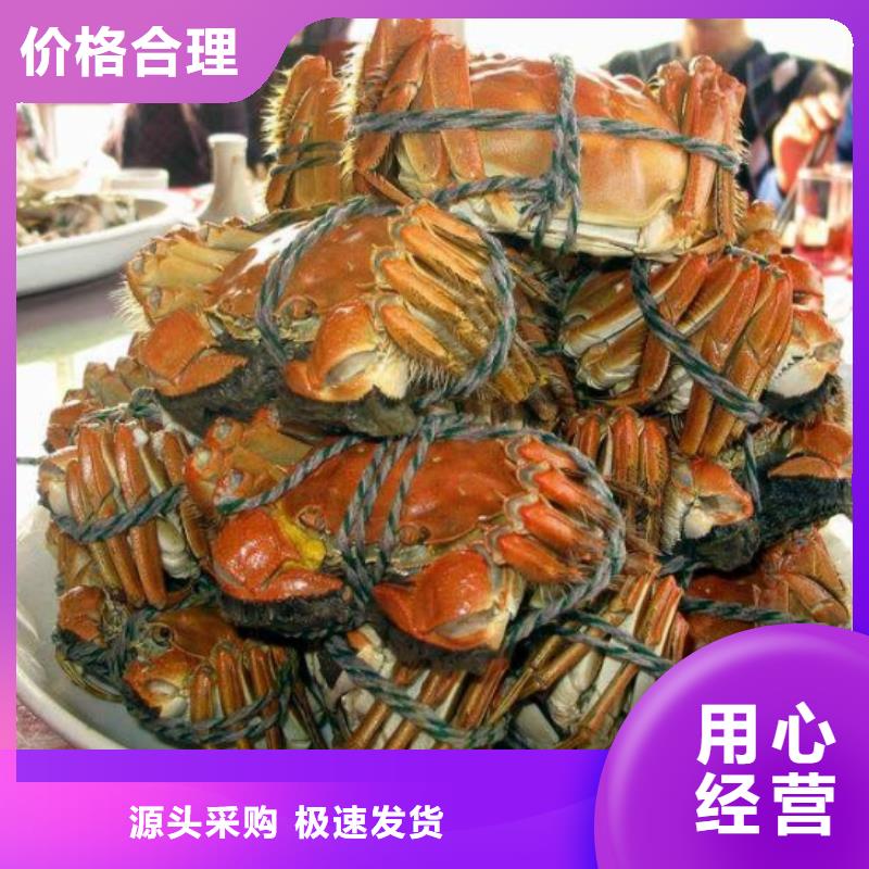 買大閘蟹