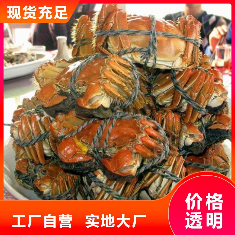 大閘蟹批發(fā)品類齊全