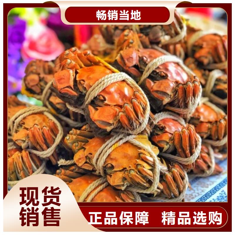 常年供應(yīng)螃蟹-品牌
