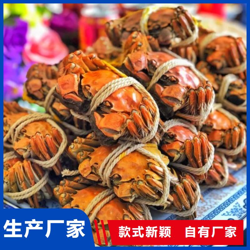 大閘蟹-實體廠家