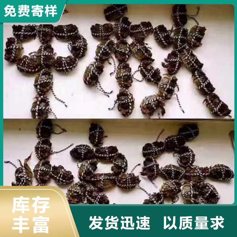 超大閘蟹品質保證