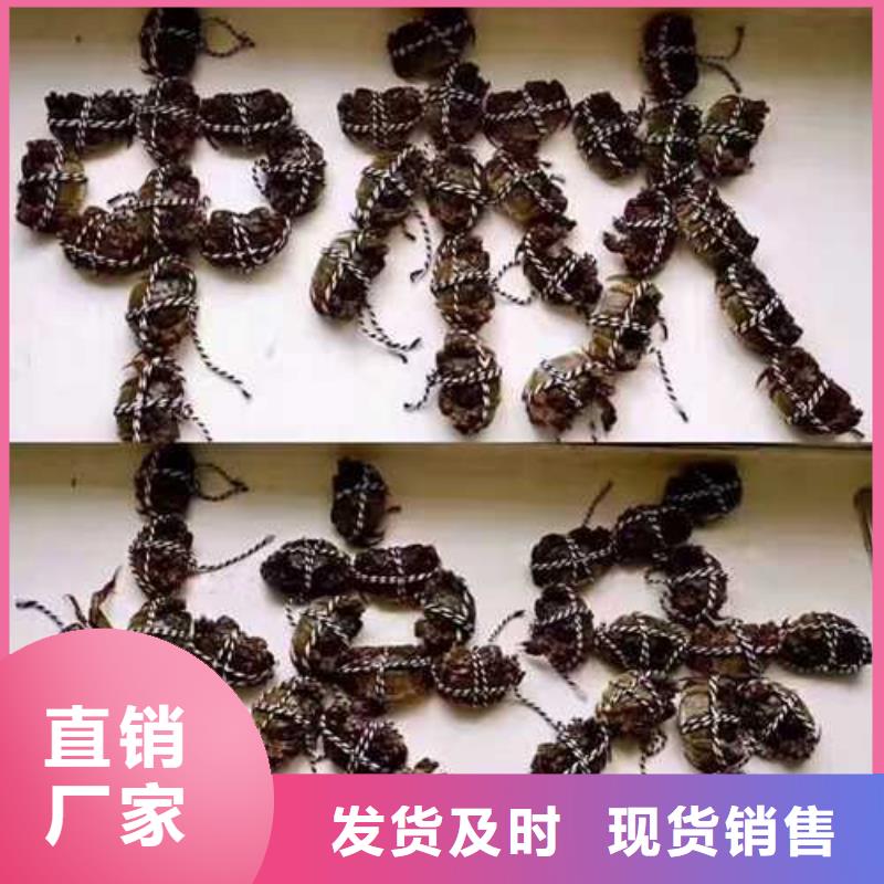 銷售大閘蟹_精選廠家