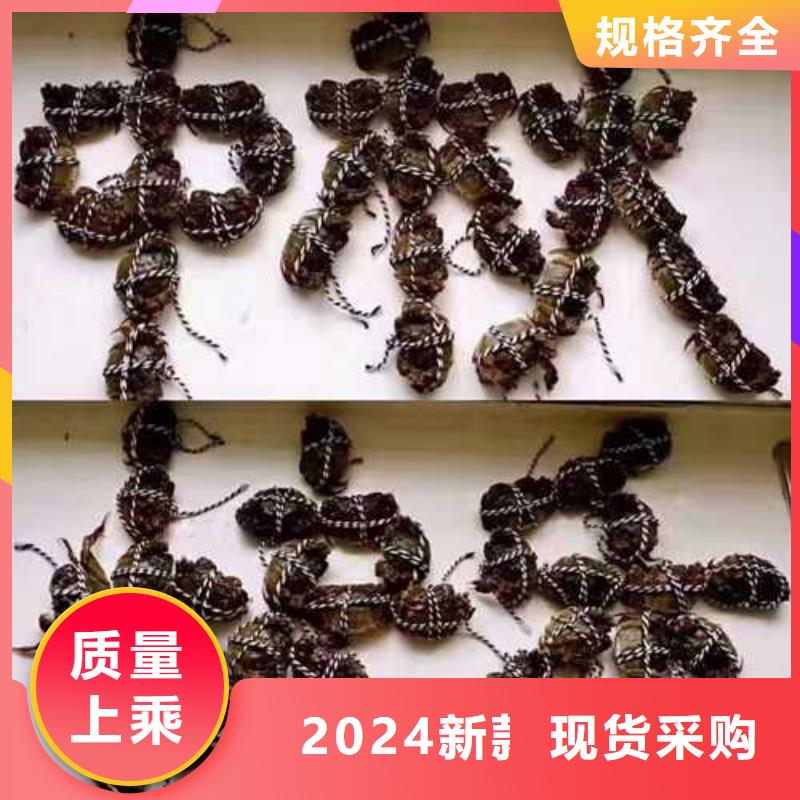 那坡縣陽澄湖大閘蟹旗艦店